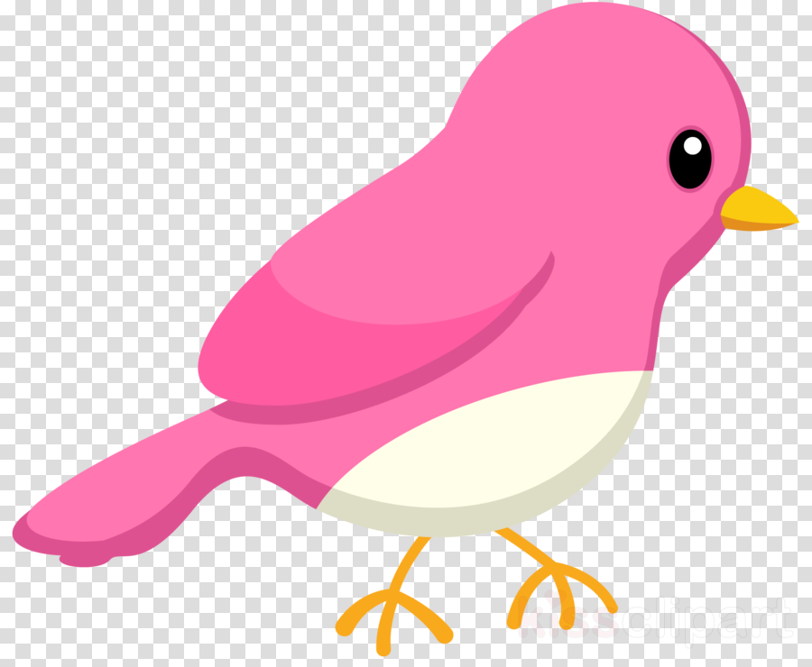 bird beak clip art pink sparrow