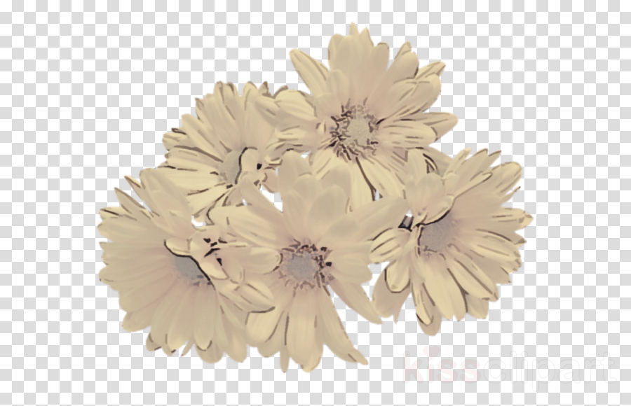 Feather clipart - White, Beige, Flower, transparent clip art
