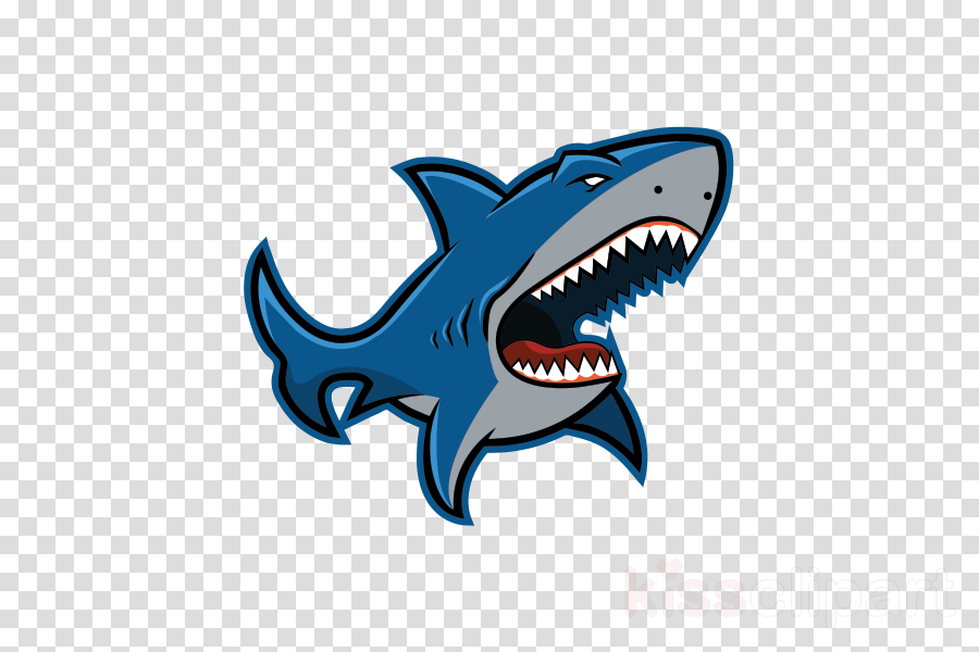 Shark clipart - Fish, Shark, Cartilaginous Fish, transparent clip art