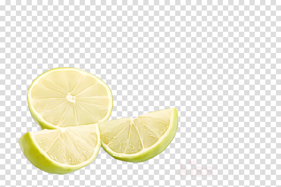lime lemon key lime citrus persian lime