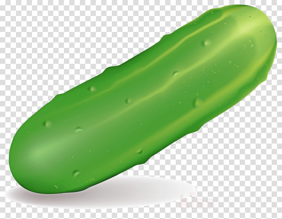 green cucumber vegetable plant vegetarian food