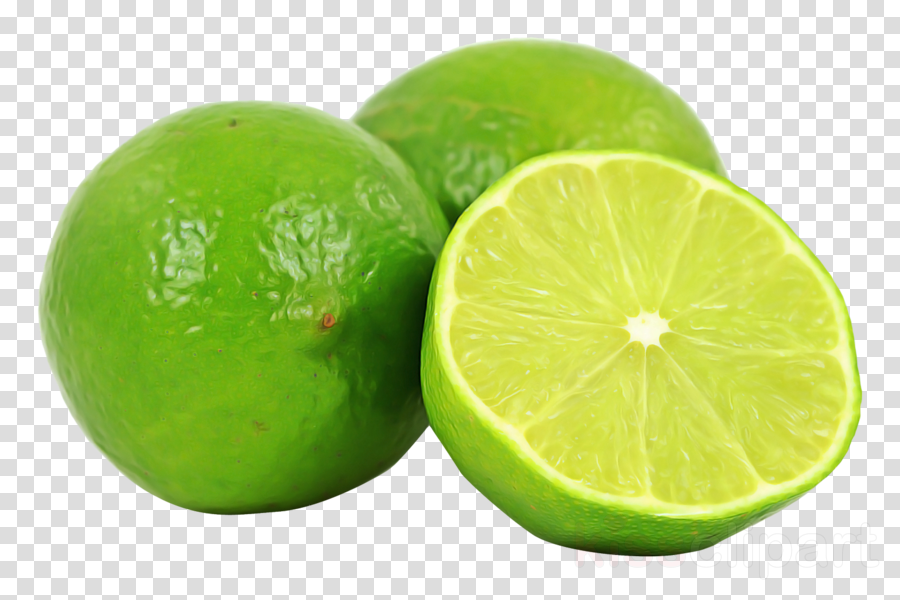 lime persian lime key lime citrus lemon