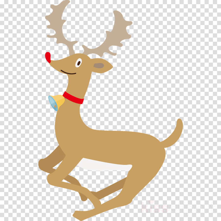 Reindeer Christmas Reindeer Christmas clipart - Reindeer, Deer, Antler ...