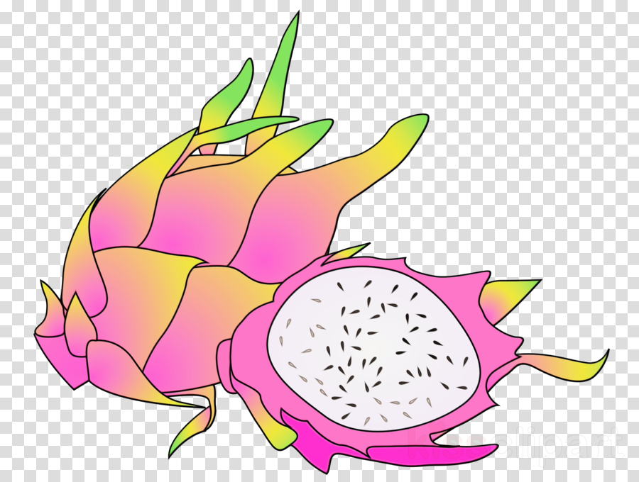 pitaya fruit dragonfruit plant food