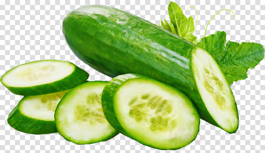 natural foods vegetable food plant cucumber
