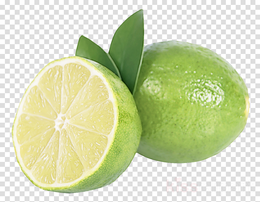 persian lime key lime lime citrus lemon