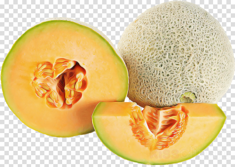 melon galia cantaloupe muskmelon fruit