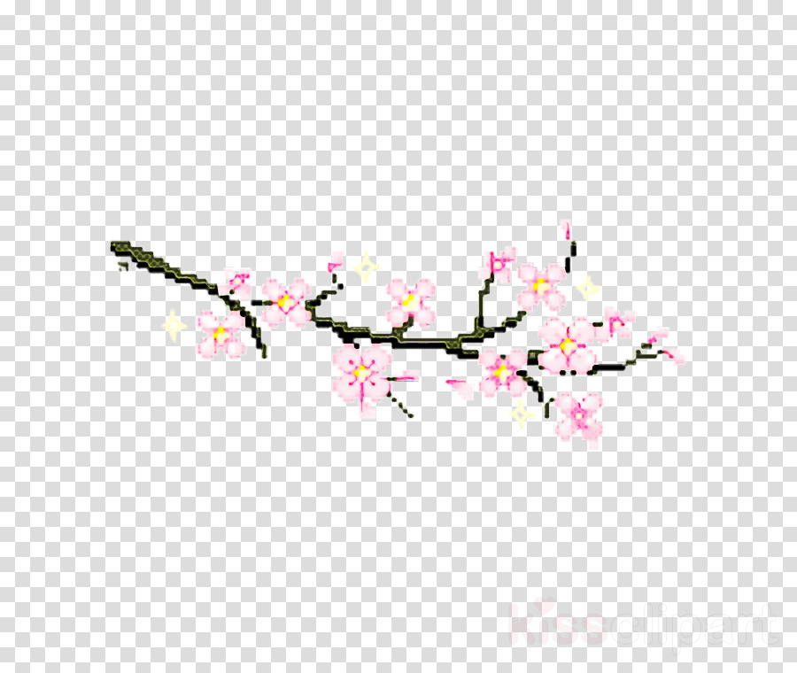 Cherry blossom clipart - Flower, Blossom, Branch, transparent clip art