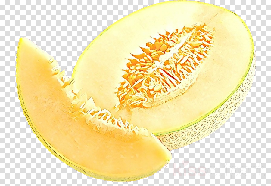 galia melon cantaloupe muskmelon honeydew