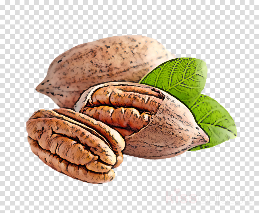 nut food walnut superfood nuts & seeds