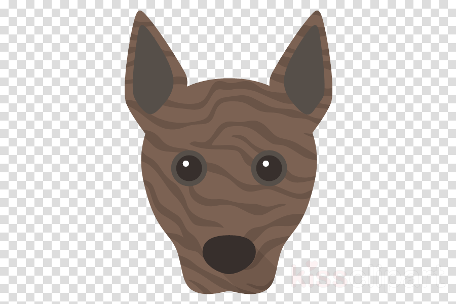 hyena snout chihuahua guard dog dobermann