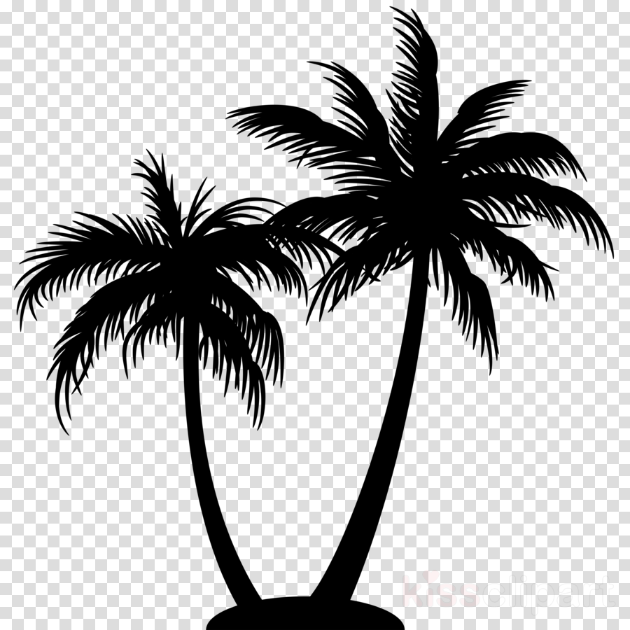 Palm Tree Clipart Tree Palm Tree Arecales Transparent Clip Art