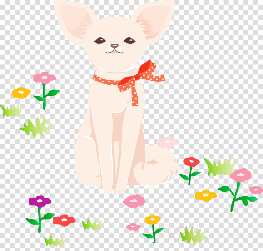 pink cat grass chihuahua tail
