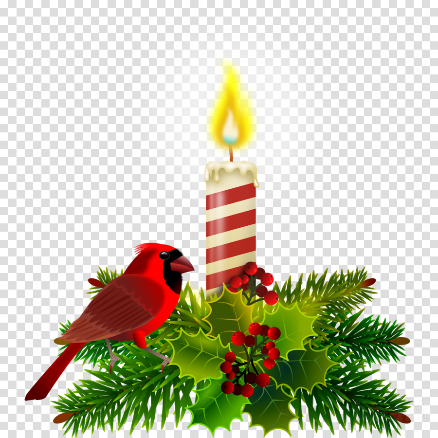 Christmas Ornament Clipart Northern Cardinal Cardinal Bird Transparent Clip Art