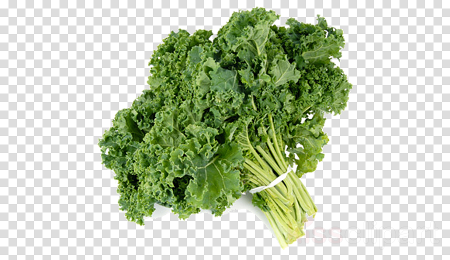 Vegetable Leaf Vegetable Food Plant Kale Clipart Vegetable Leaf Vegetable Food Transparent Clip Art