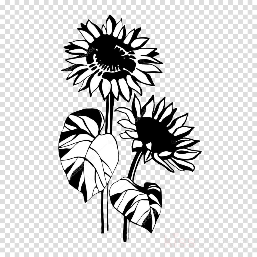 Sunflower Clipart Blackandwhite Flower Sunflower Transparent
