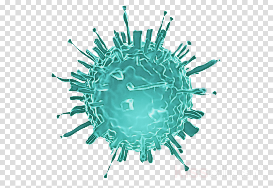 Вирус гриппа коронавирус. Coronavirus бактерия. Вирус микробы коронавирус вектор. Коронавирус без фона.