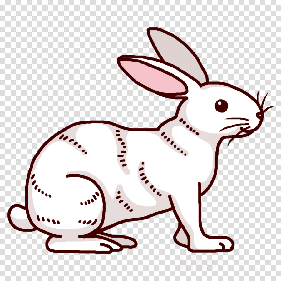 Hare Whiskers Line Art Cartoon Rabbit Clipart Hare Whiskers Line Art Transparent Clip Art