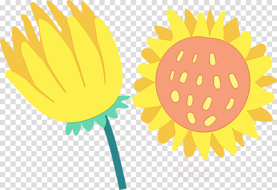 Sunflower clipart - Plant Stem, Sunflower Seed, Dandelion ...