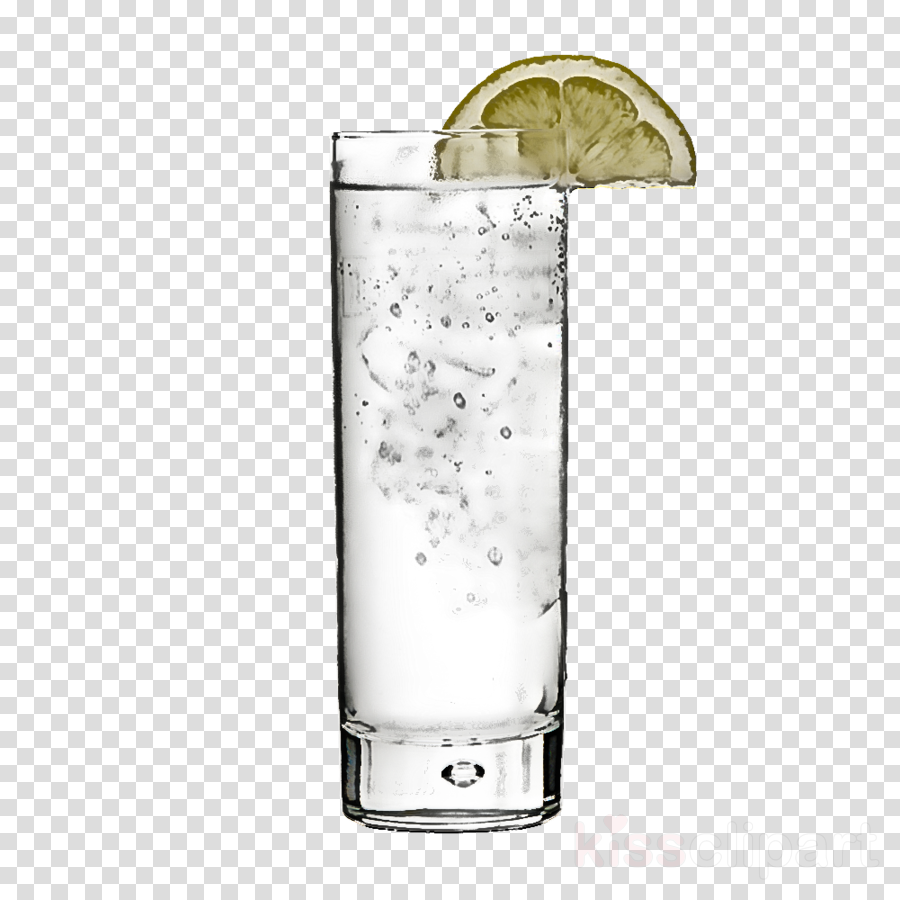 rickey highball glass vodka tonic cocktail garnish non-alcoholic drink