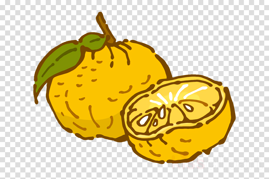 citron lemon squash yellow yuzu