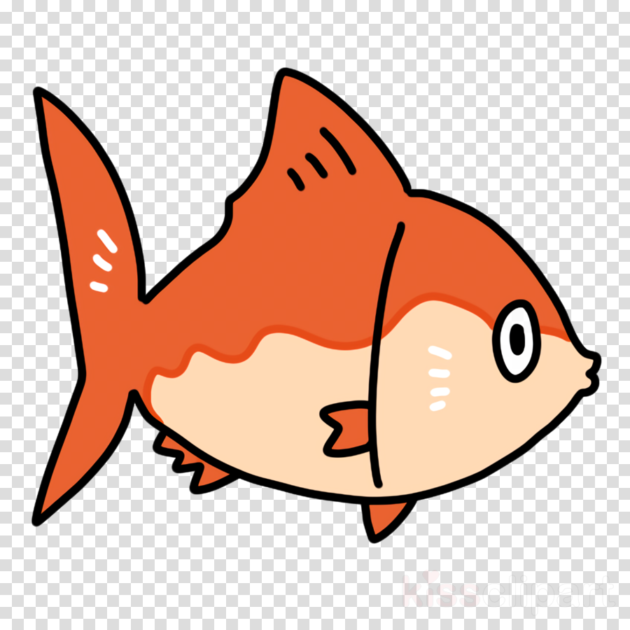 cartoon fish orange s.a. line