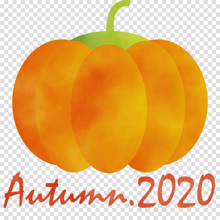 mandarin orange tangerine apricot m natural foods clémentine m.