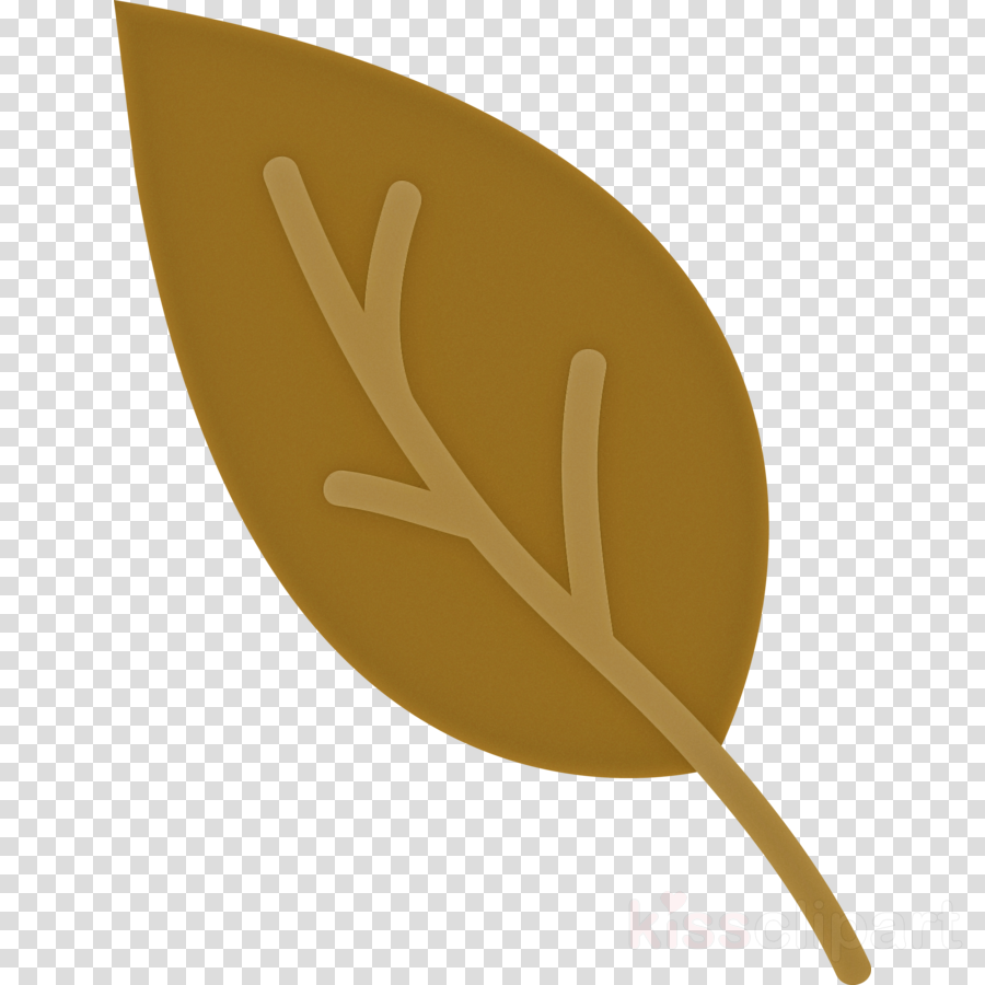 leaf japanese knotweed plant evolution himalayan balsam evolution
