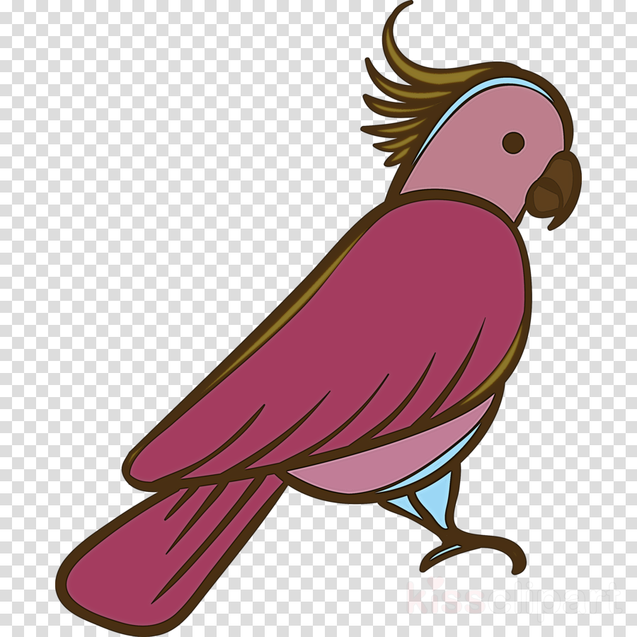Lovebird clipart - Birds, Macaws, Budgerigar, transparent clip art