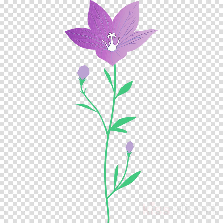 Lavender clipart - Plant Stem, Flower, Leaf, transparent clip art