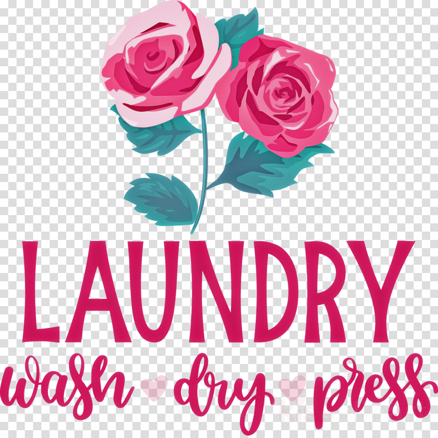 Laundry Wash Dry