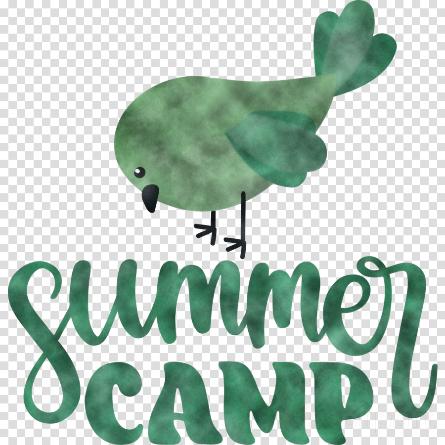 Summer Camp Summer Camp