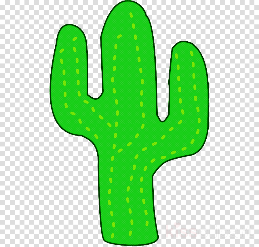 leaf plant stem tree meter citroën cactus m